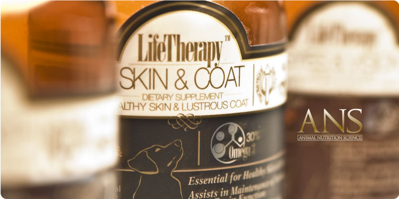 Skin & Coat