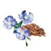 Icon Flaxseed